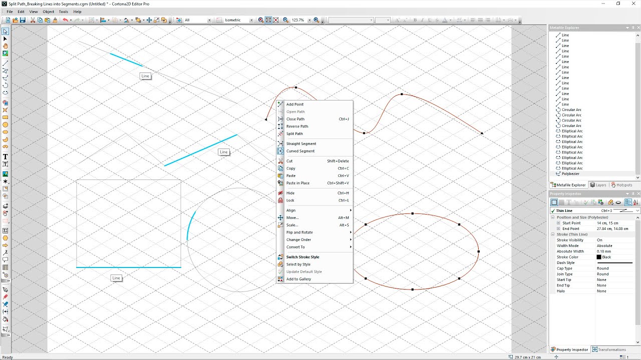Cortona2D Editor Pro 14.3: Split Path Breaking Lines into Segments