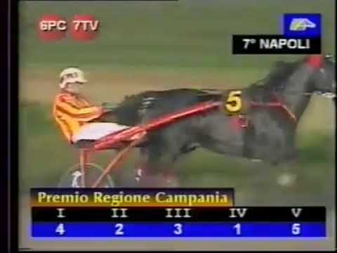 la grande gara del cavallo Varenne a napoli  1999
