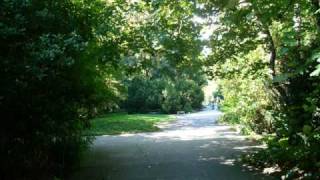 Clã ....Problema de Expressão ...