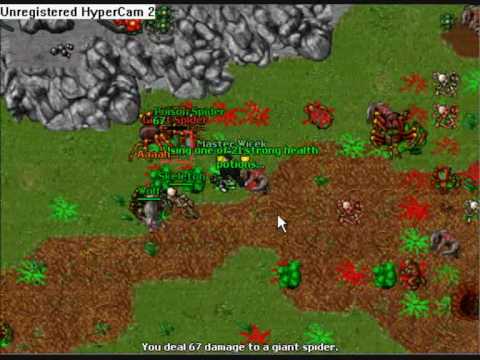 Tibia Astera Master Wicek