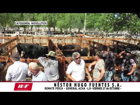 REMATE FERIA - NÉSTOR HUGO FUENTES SA - VIERNES 27 OCT. 2017-