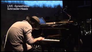 Schroeder-Headz - LIVE - Synesthesia - 【Trailer】