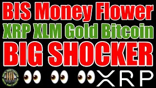 XRP $1 , Bitcoin Halving , Ripple , BIS Money Flower & Gold vs. Distractions