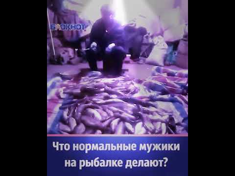 Что нормальные мужики на рыбалке делают
