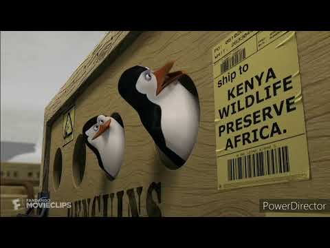 Madagascar (2005) Can You Read Scene