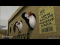 Madagascar 2005 Can You Read Scene