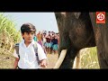 Rajabheema HD New Blockbuster Full Hindi Dubbed Action Movie Arav Ashima Narwal Yashika