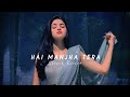 Hai Manjha Tera Tez Vishal Mishra Slowed Reverb Midnight Chill