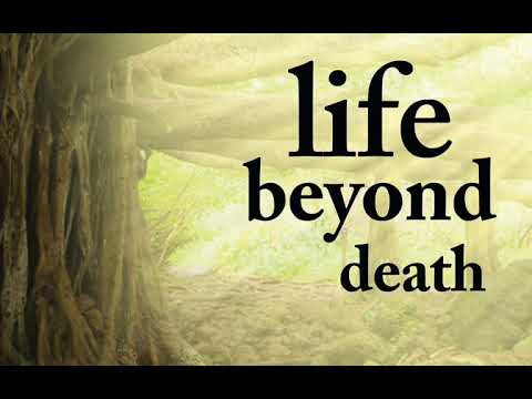 CATHOLIC MEDITATION: Saturday - 20 November, 2021. 33rd week - Ordinary Time, Year B.