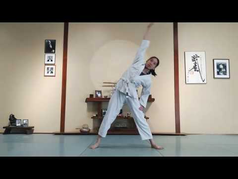 Aikido at Home - Online Lesson 1