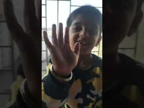 Aaj Sunday ko Nidhi or Daksh ne vlogging ki Toby or Lucy ki masti #🐈🐈🐈#😼😼😼#animallovers 