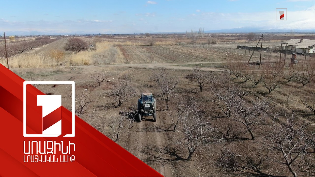 Գյուղատնտեսական ապահովագրության ծրագիրը վերսկսվել է՝ կառավարությունը կսուբսիդավորի