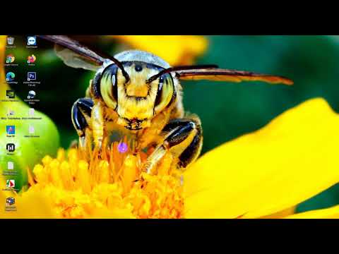 Amazon so finden sie wonach Menschen suchen  So finden Sie kostenlos Keywords für Dropshipping