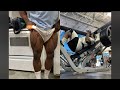 Raw Leg Day 5 weeks out 2022 IFBB Pro Warrior Classic