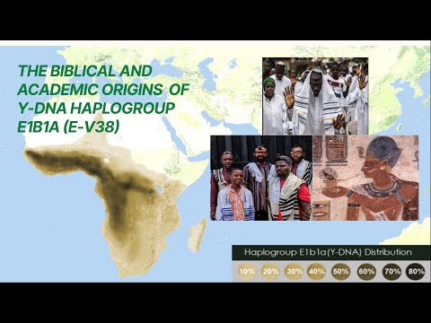 The Origins of Haplogroup E1B1A (E-V38): Biblical and Academic Perspectives