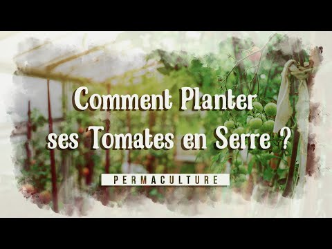 , title : 'Comment bien planter ses tomates en serre?'