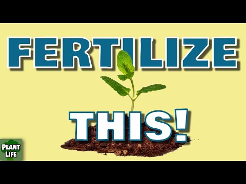 What Does NPK Mean on Fertilizer?