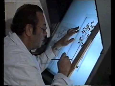 Atlas de Historia Natural de Felipe II (Pomar codex)