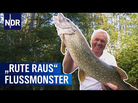 Die Flussmonster vom Spreewald | Rute raus, der Spaß beginnt! | NDR