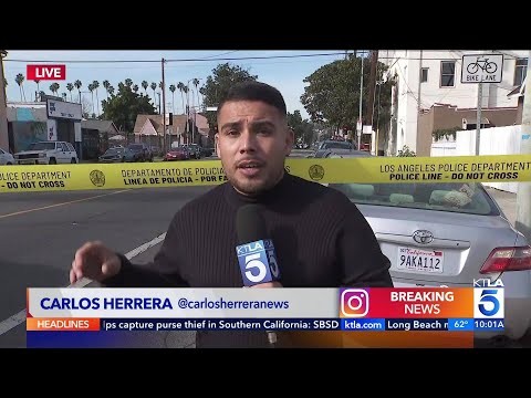 Burglary suspects in U-Haul change vehicles during L.A. pursuit