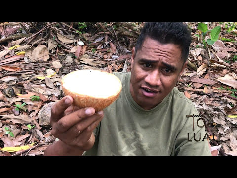 Vaisalo - How to make this island goody!