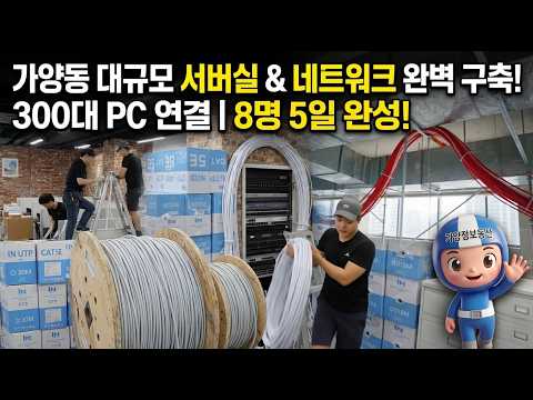 500평 대형 오피스 완벽 구축! 컴퓨터·전화기 300대 &amp; 서버실 2곳 네트워크 공사 (8명, 5일의 기록)
