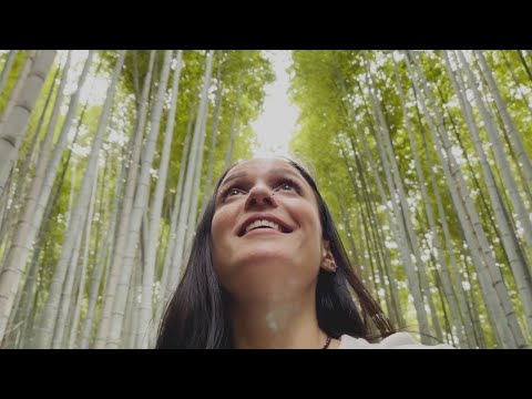 La FORESTA più bella del GIAPPONE