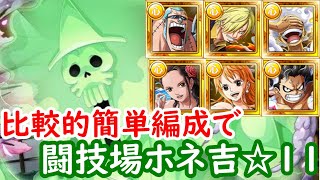 【トレクル】闘技場レイジュで活躍するかも！ニカルフィ編成で闘技場ホネ吉☆１１攻略！【トレジャークルーズ】
