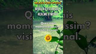 Reduza o Estresse e Acalme a Mente