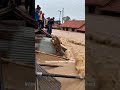 “Tiger Trapped in Deadly Flood – Locals Rush to Save Him!” #tiger #animals #funny #wildlife #shorts