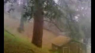 preview picture of video 'Rainy morning in Crestline,CA....'