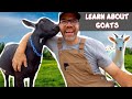 Help Farmer Jason Take Care Of The Goats Fun Educational Video For Toddlers And Preschoolers