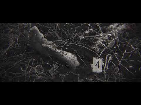 Trailer de A Viúva das Sombras (2020)