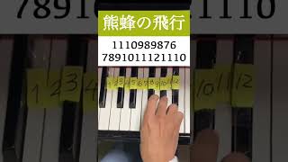 Download lagu 【ピアノ】音大卒が教える！簡単に弾ける熊蜂の飛行  #ピアノ #クラシック mp3