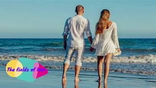 ATB Feat. York - The Fields Of Love (Lyrics)