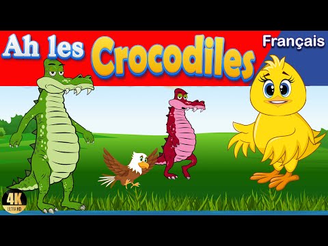 Ah les crocodiles |Le Crocodile et Le Poussin |contes de fées |conte crocodile  |croco |crocodile