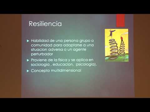 Programa 13/06/2018