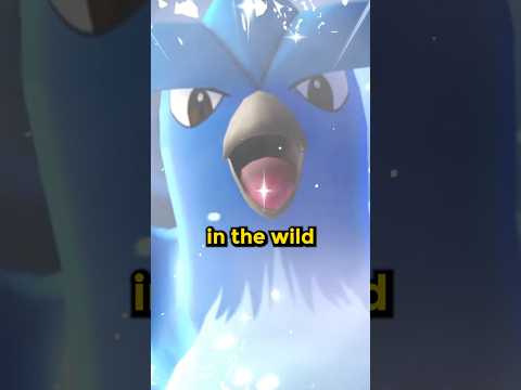 Rarest Wild Encounter in Pokémon History?