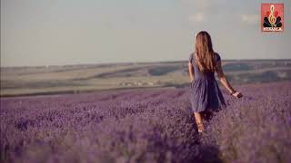 Download lagu KASIH DIRUNDUNG MEGA .. GRAVITY mp3