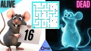 Schrödinger's "Rat": Sudoku Perfection (And Comedy!)