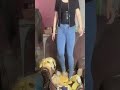 Trampling The Sofa