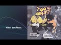 What You Want Feat Camelia Too Phat Official Audio
