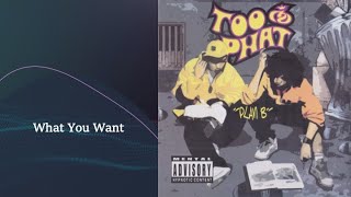 What You Want [feat. Camelia] - Too Phat (Official Audio)