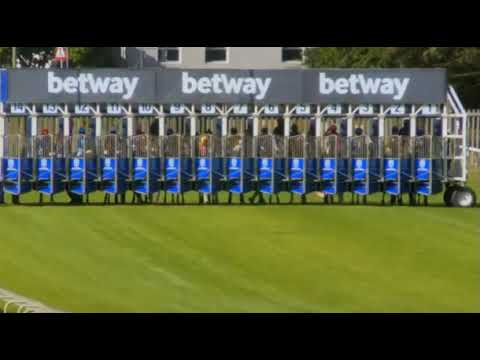 VIKRAM - Cape Merchants (Gr2) Kenilworth