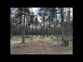 Vladislav Delay - Forest Dub