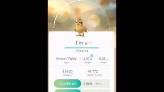 Even more Pidgey for Queen &quot;Don&#39;t Stop Me Now&quot; in Pokémon GO