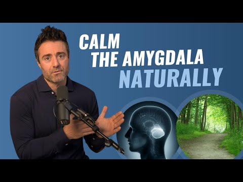 Improve Your Amygdala Health With This Simple Act