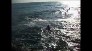 ROFAR - Funky (original mix) - vidéo surf à Palavas - Humanity 2012 - Electro music Montpellier