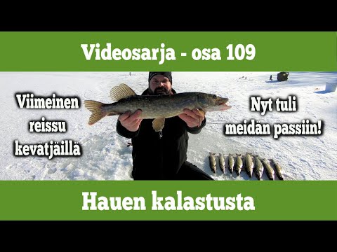 Osa 109 - Hauen kalastusta kevätjäillä - kausi 2020/2021