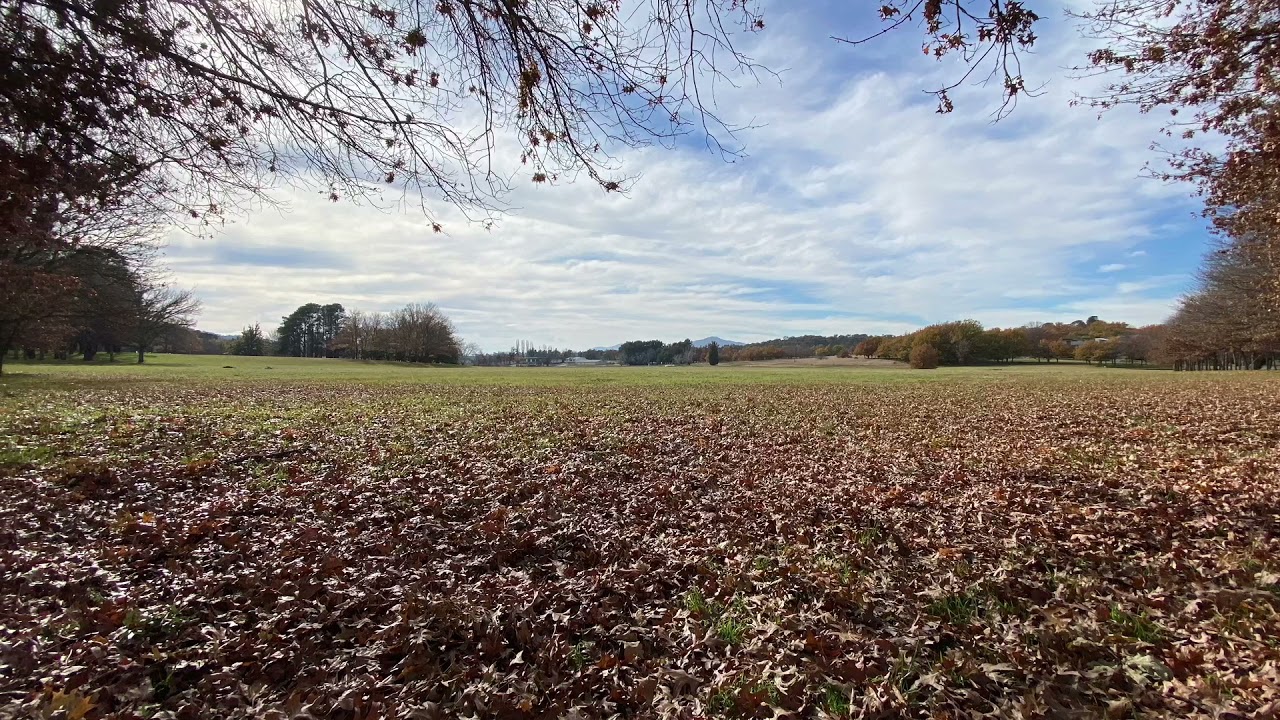 Discover a captivating peek of Weston Park.